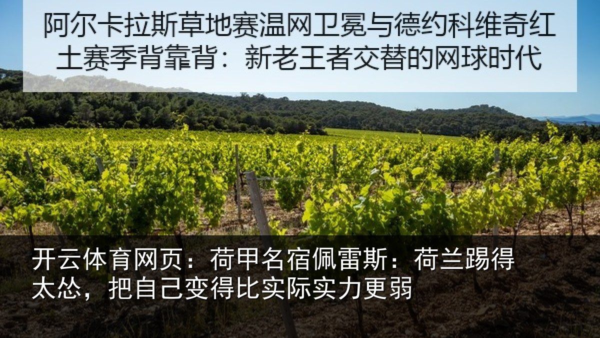 开云体育网页:荷甲相关情况得太相关情况际实力更弱