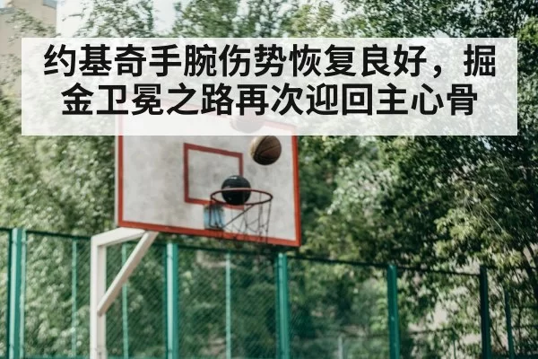 约基奇手腕伤势恢复良好,掘金卫冕之路再次迎回主心骨